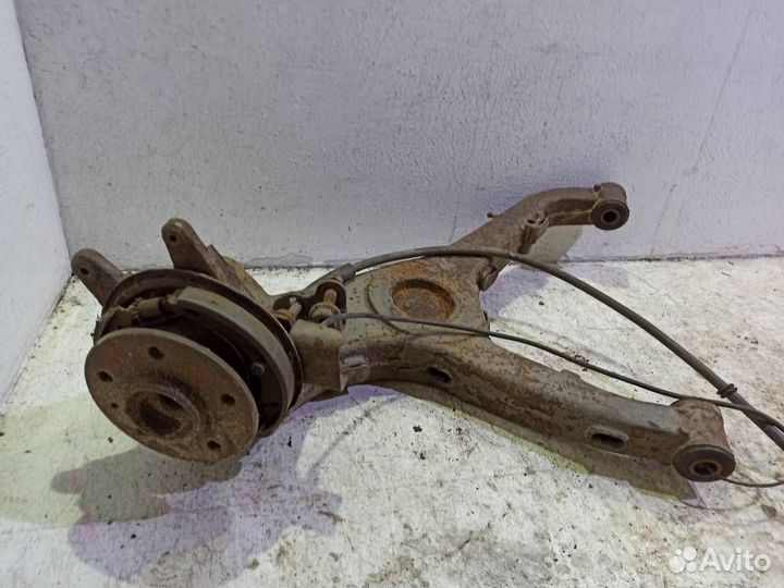 Кулак задний правый