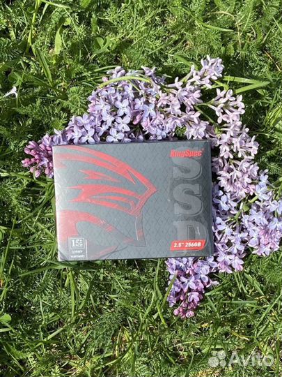 Ssd диск 256 гб