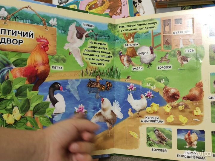 Детские книги с окошками