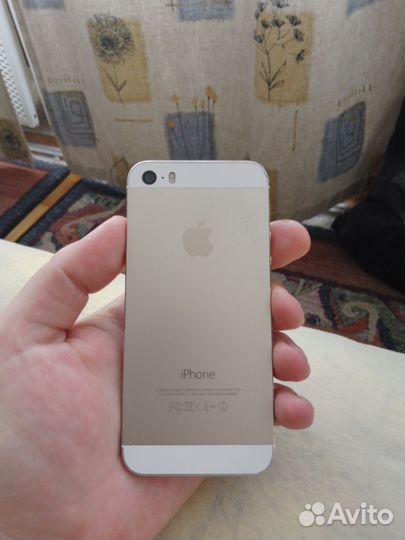 iPhone 5s