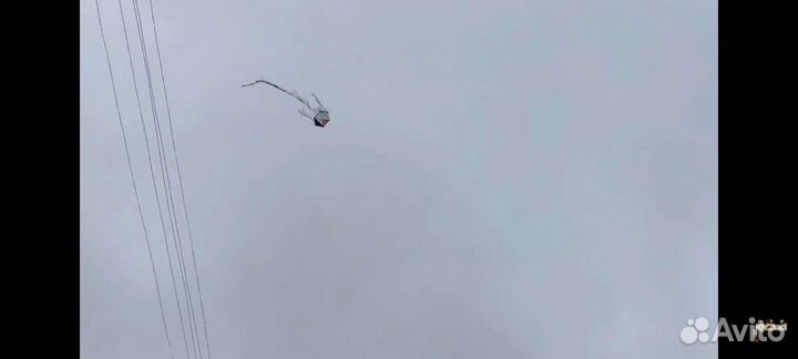 Летучий змей