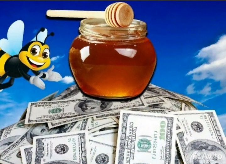 Продавец консультант