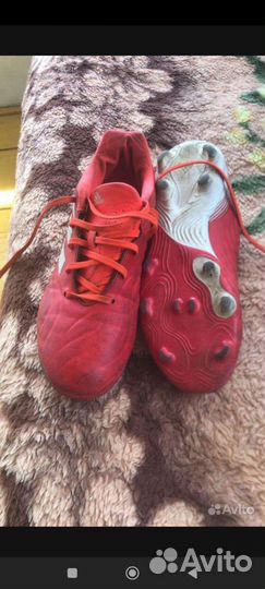 Бутсы adidas Copa 38,5