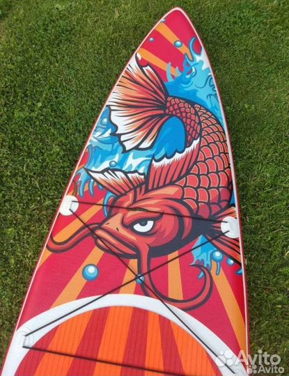 Сап борд кои карп