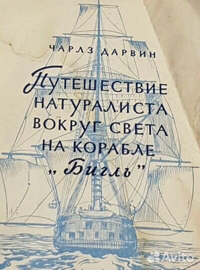 Чарлз Дарвин, Путешествие натуралиста