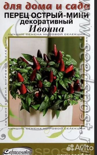 Перец комнатный острый мини Ивонна