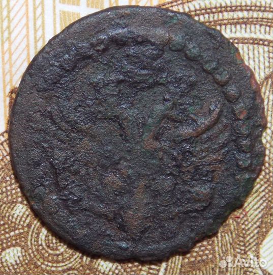 Пол полушки 1700