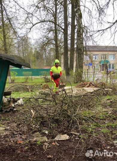 Спил, удаление деревьев