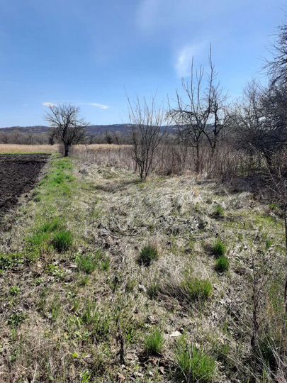 Участок 30 сот. (СНТ, ДНП)