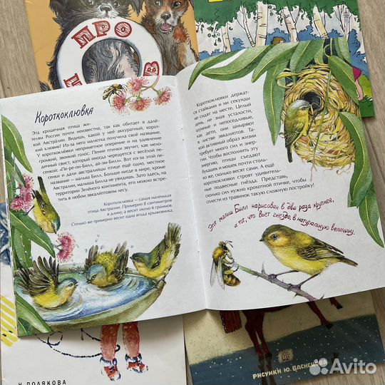 Детские книги комплект Барто Васнецов