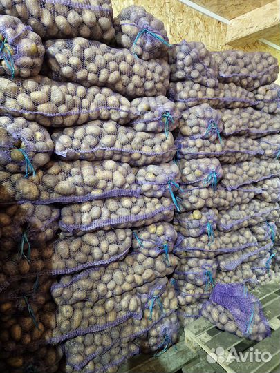 Овощи оптом