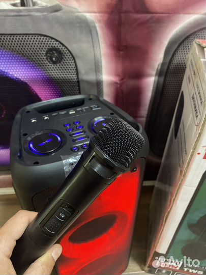 Колонка Eltronic 20-17