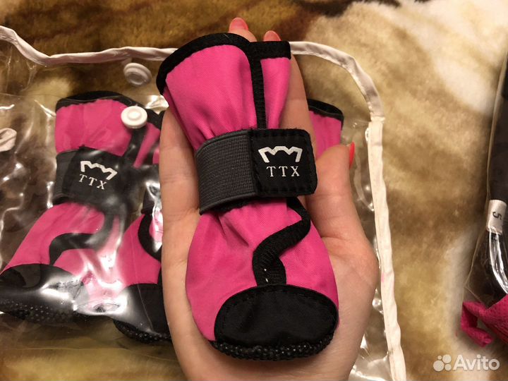 Ботинки для собак