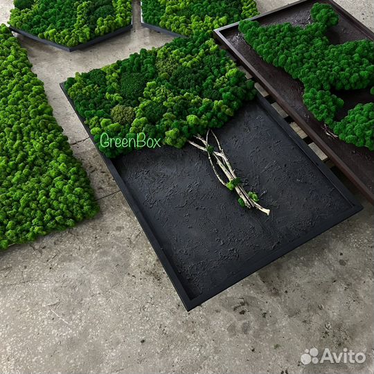 Панно со мхом