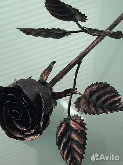 Роза кованая