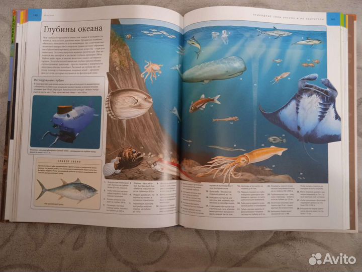 Энциклопедия