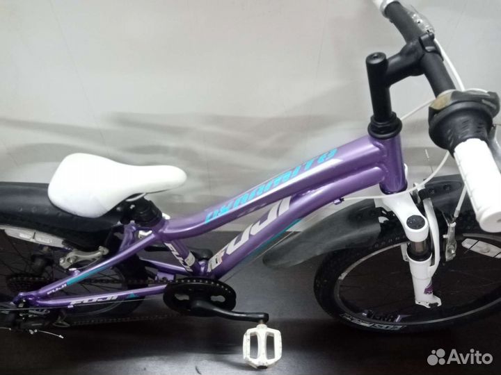 Fuji Dynamite 20
