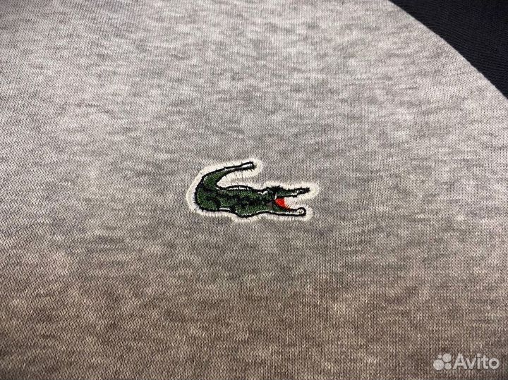 Свитшот Lacoste (теплый)