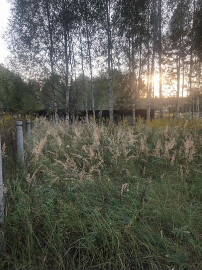 Участок 16 сот. (ИЖС)