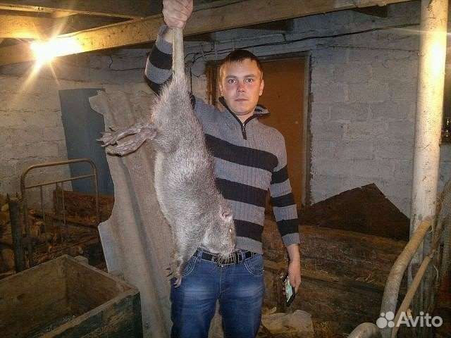 Отрава от крыс,мышей, кротов, грызунов