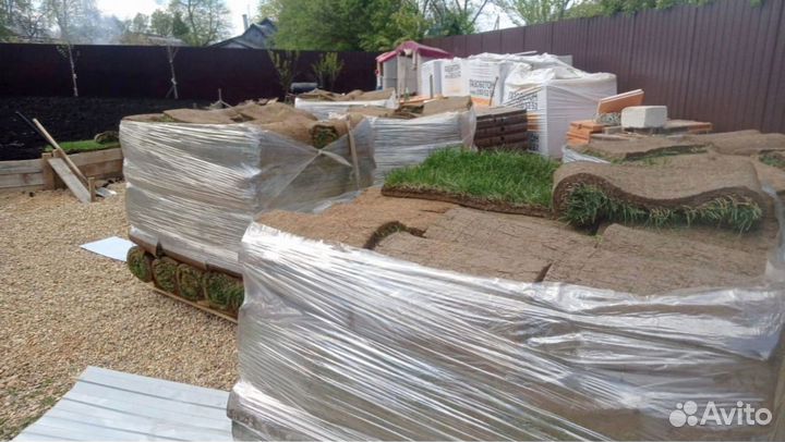 Рулонный газон с доставкой. Любой объем