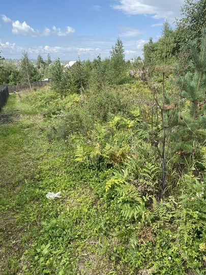 Участок 10 сот. (СНТ, ДНП)