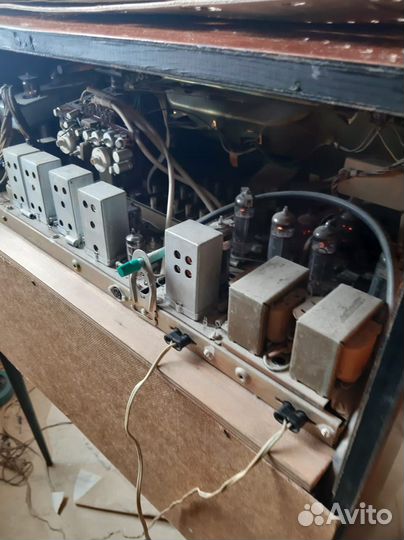 Родиола Симфония 003