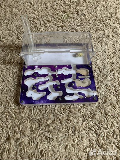 Муравьиная ферма