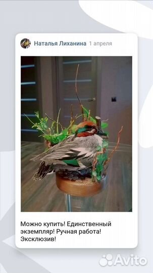 Утка и рябчик