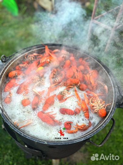 Раки для запоминающихся вечеров от 3 кг