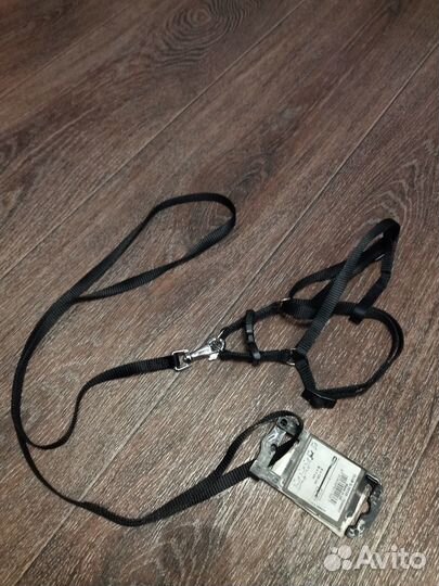 Поводок для выставок