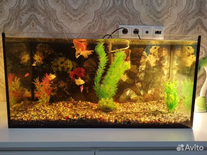 Аквариум