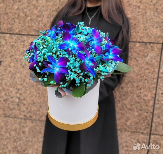 Орхидея Дендробиум в Коробках. Цветы