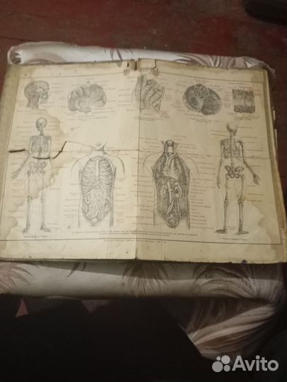 Словарь Брокгауза