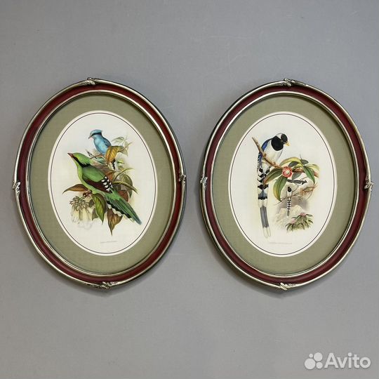 Картина в овальной раме