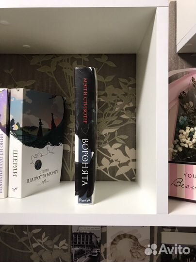 Мэгги Стивотер 