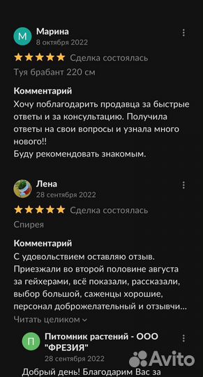 Саженцы Малины,Смородины,голубики, жимолости