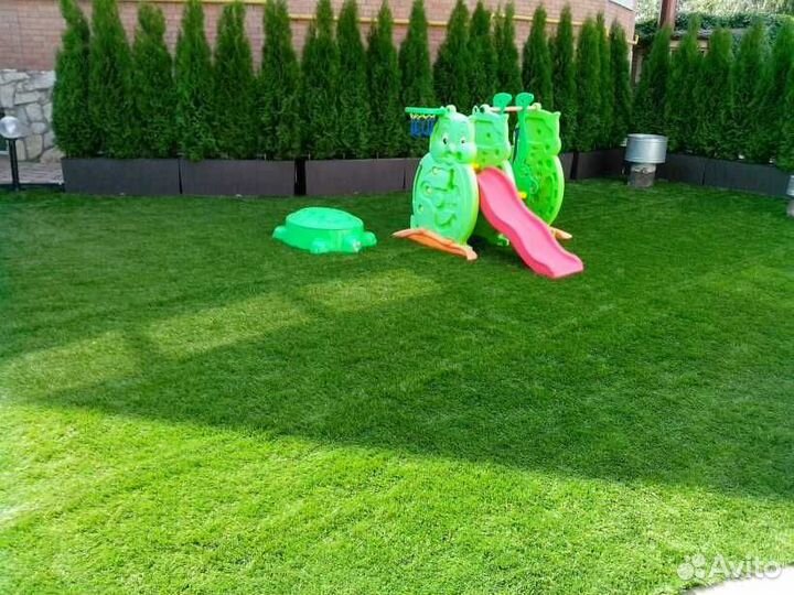 Газонная трава