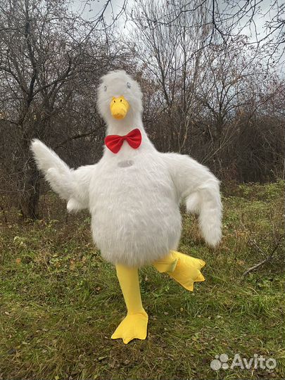 Гусь обнямусь поздравления