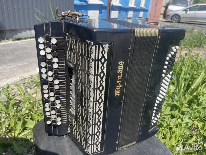 Баян тула 304