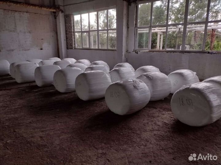 Пивная дробина ферментированная(консервированная)