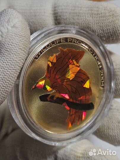 Серебряные монеты