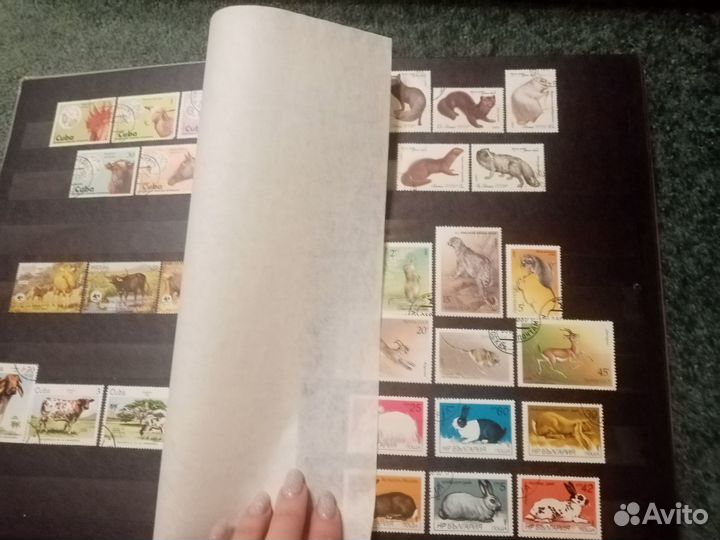 Альбом с марками флора и фауна