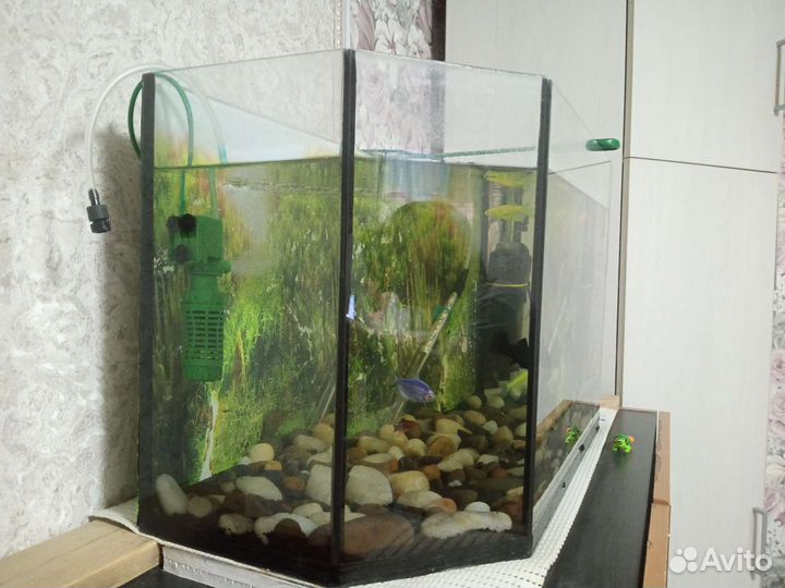 Аквариум
