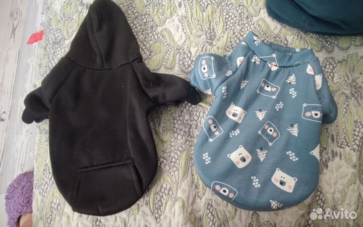 Вещи и одежда для щенка