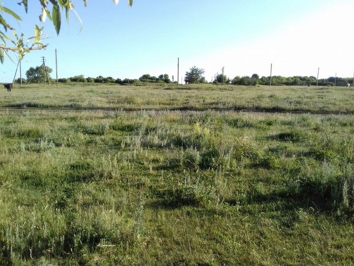 Дом 80 м² на участке 90 сот.