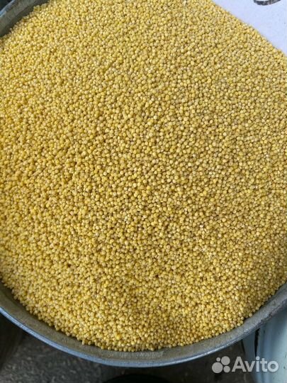 Пшено высший сорт