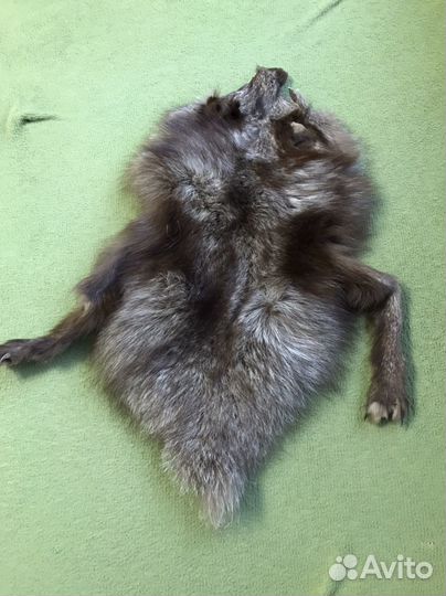 Шкура животногр (вероятнее всего песец)