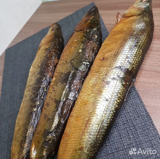 Коптильня с дымогенератором