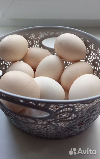 Домашние куриные яйца